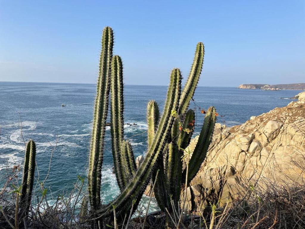 Punta Arrocito B102 Apartment Santa Maria Huatulco Exterior photo
