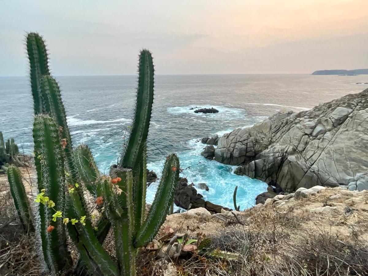 Punta Arrocito B102 Apartment Santa Maria Huatulco Exterior photo